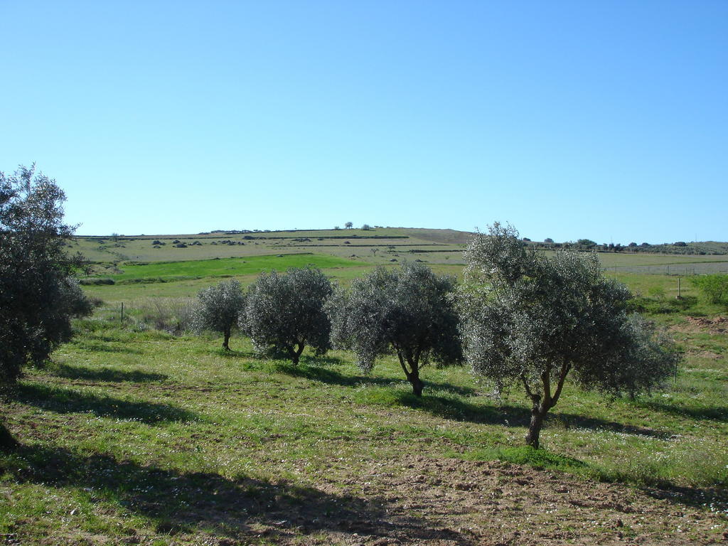 Horta Do Muro Campo Maior Exterior photo